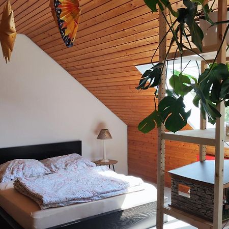 Big Cozy Entire Family Appartment 하노버 외부 사진