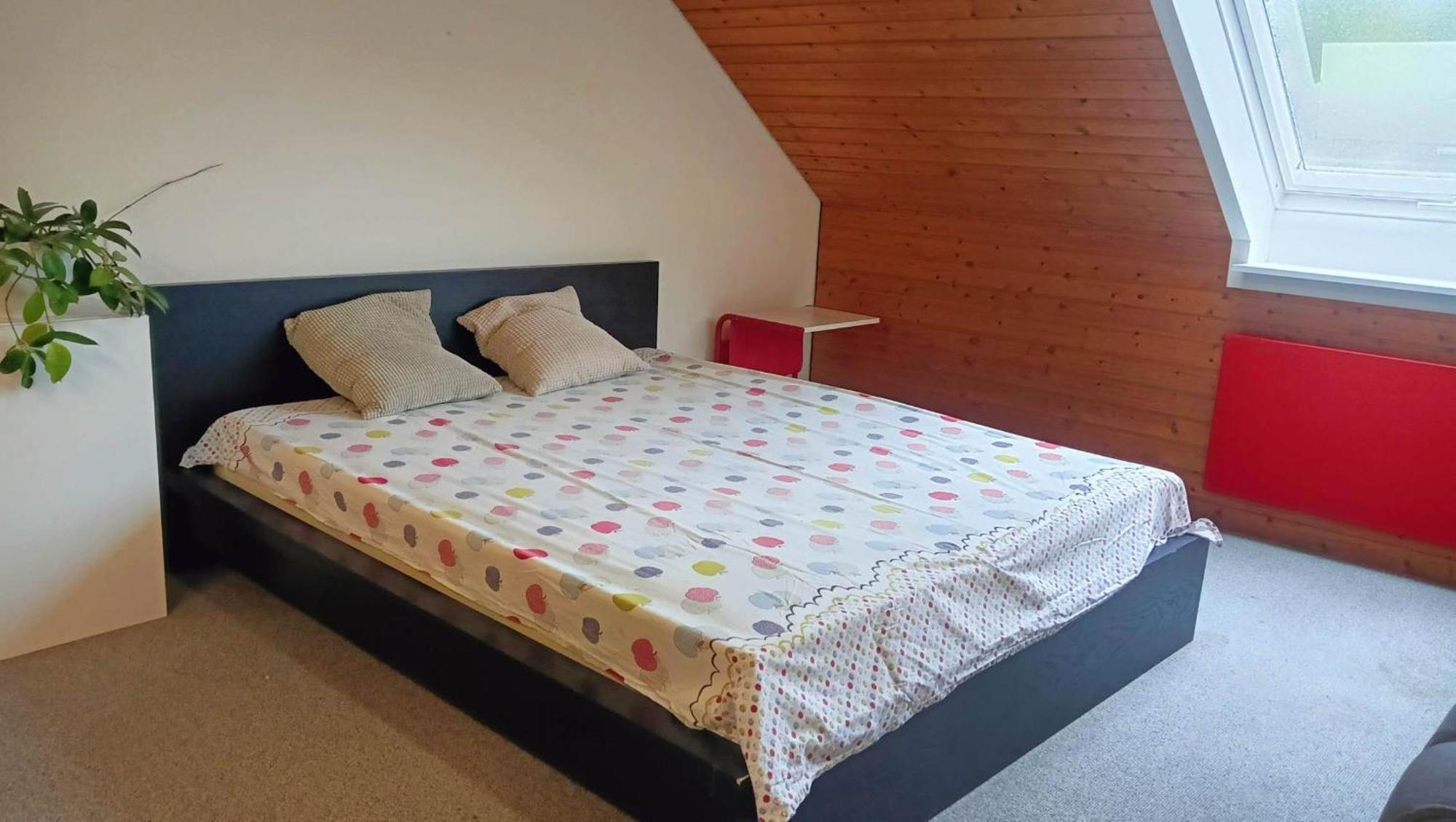 Big Cozy Entire Family Appartment 하노버 외부 사진